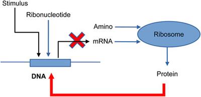 Application of a novel numerical simulation to biochemical reaction systems